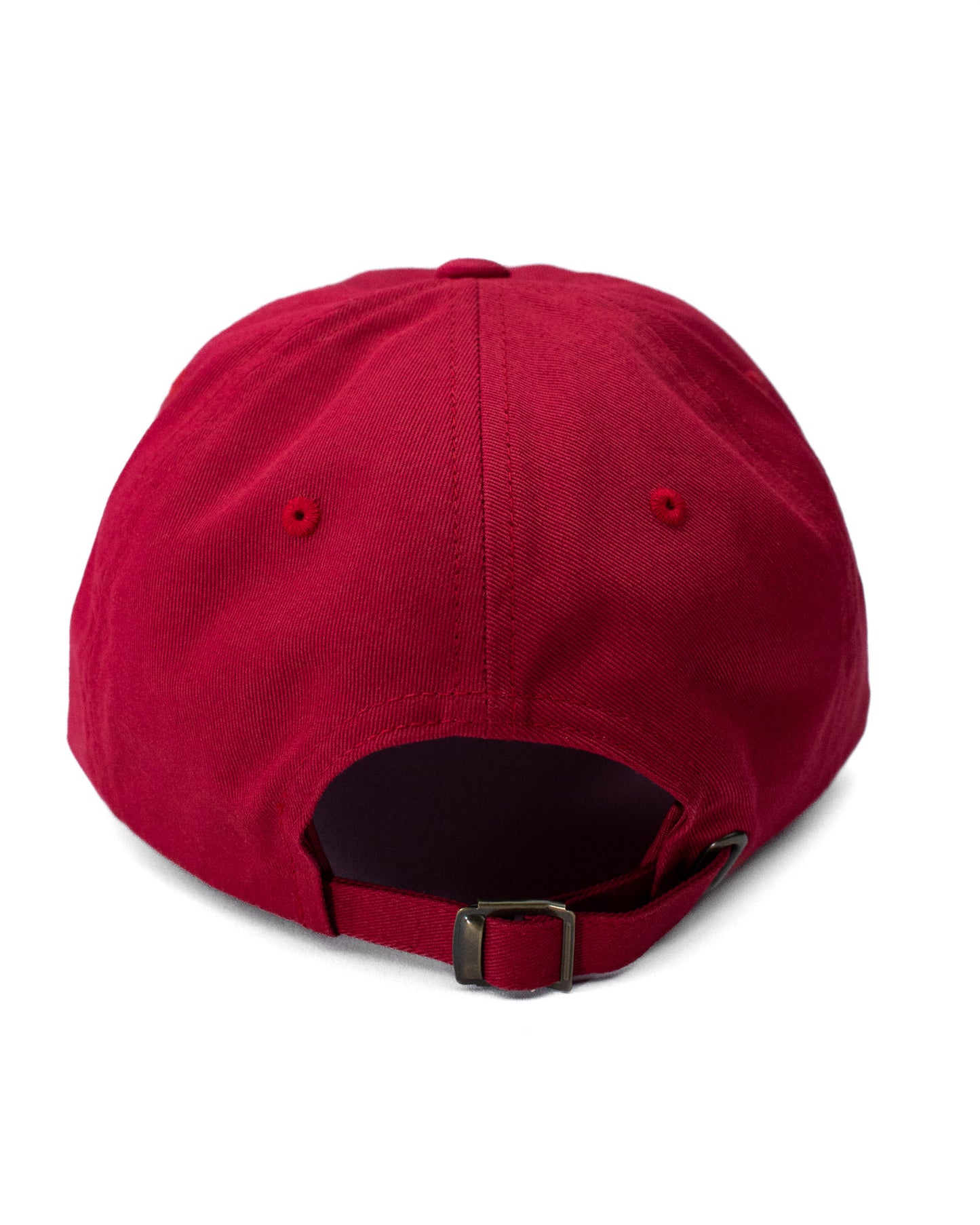 Fieldschool Logo Dad Hat in Deep Red