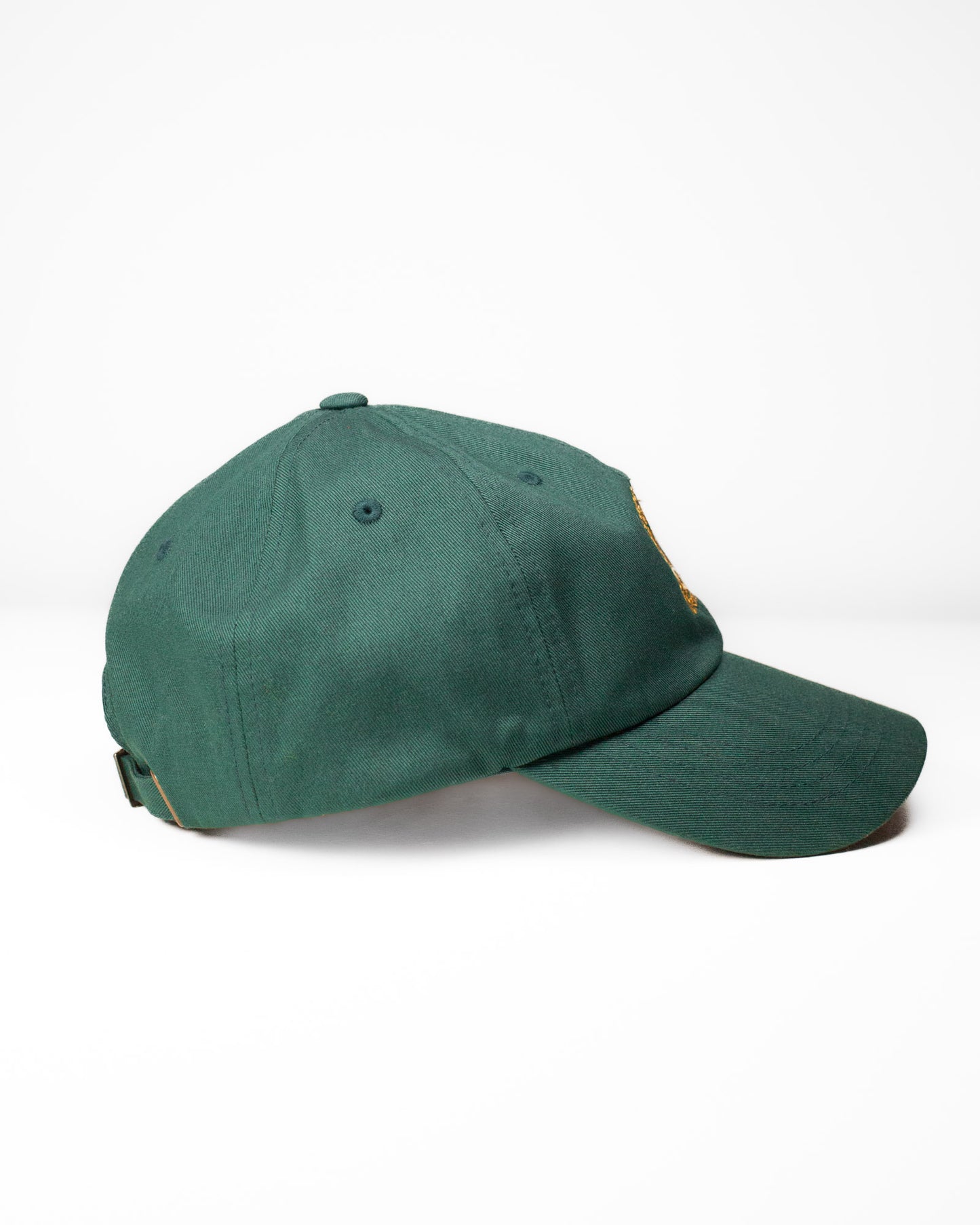 Fieldschool Ladybird Dad Hat in Dark Green