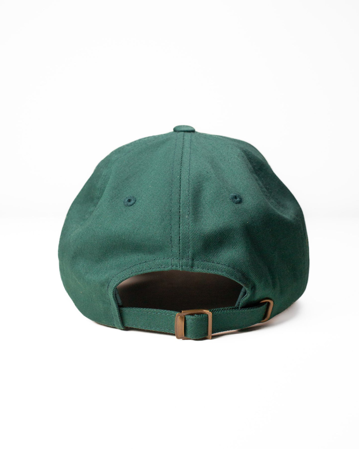 Fieldschool Ladybird Dad Hat in Dark Green