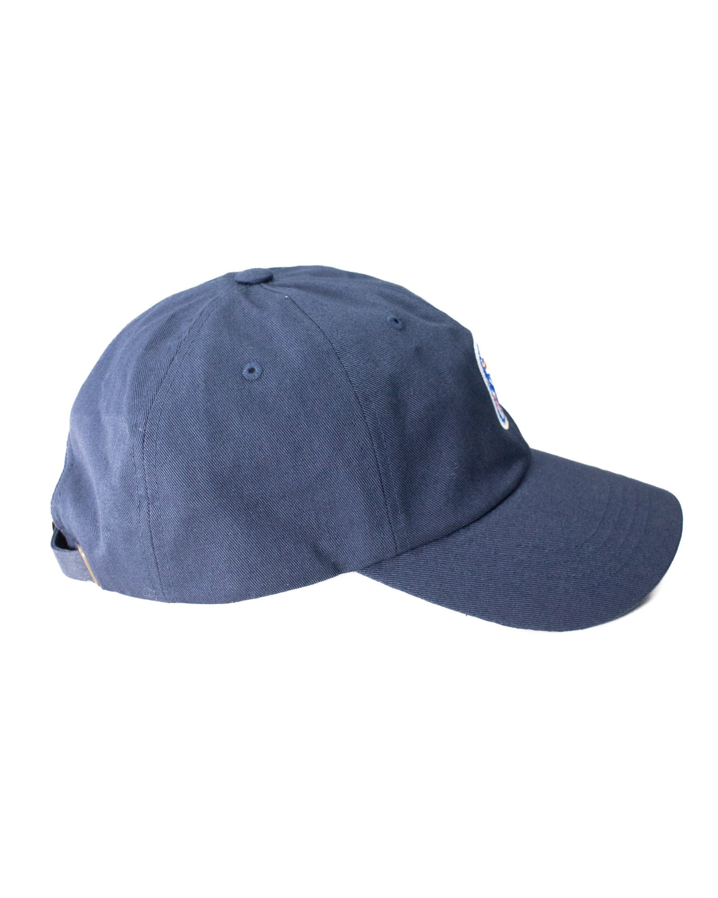 Fieldschool Birdy Dad Hat in Navy