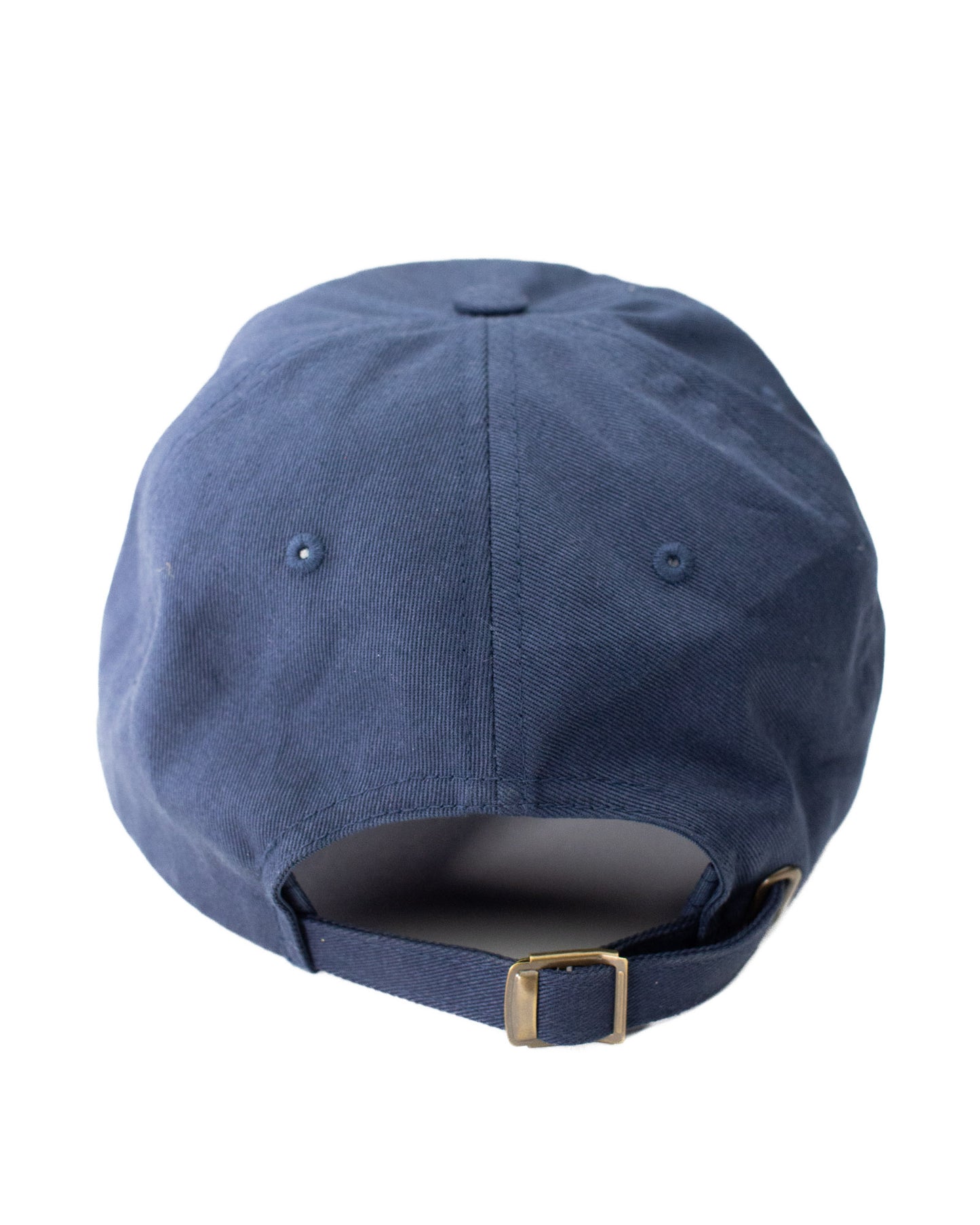 Fieldschool Birdy Dad Hat in Navy